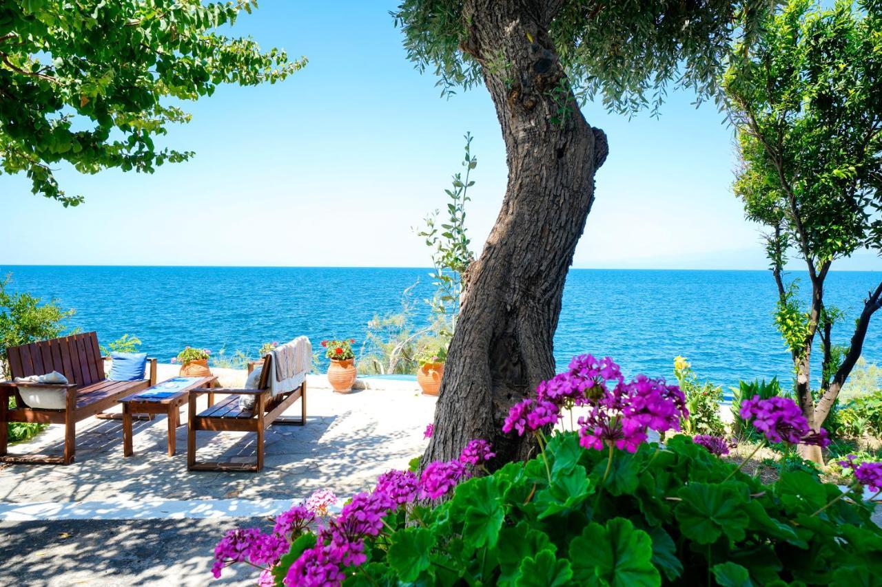 Skala Mare Apartment Skála Marión Bagian luar foto